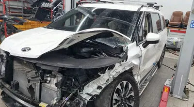 2021 Kia Carnival KNANC81BBMS037923 VIN:KNANC81BBMS037923