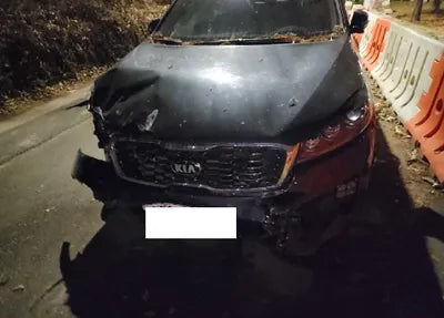 2020 Kia Sorento KNAPH811BLA625428 VIN:KNAPH811BLA625428