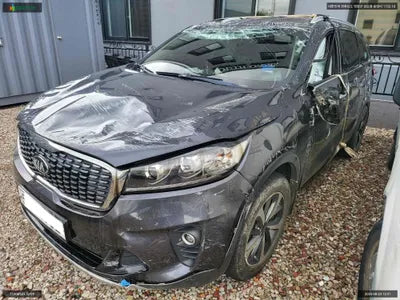 2019 Kia Sorento KNAPG81ABKA544542 VIN:KNAPG81ABKA544542