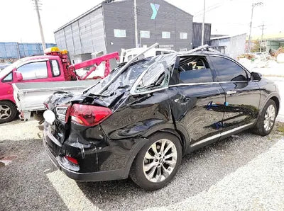 2019 Kia Sorento 315KMKNAPG81BBKA5 VIN:315KMKNAPG81BBKA5