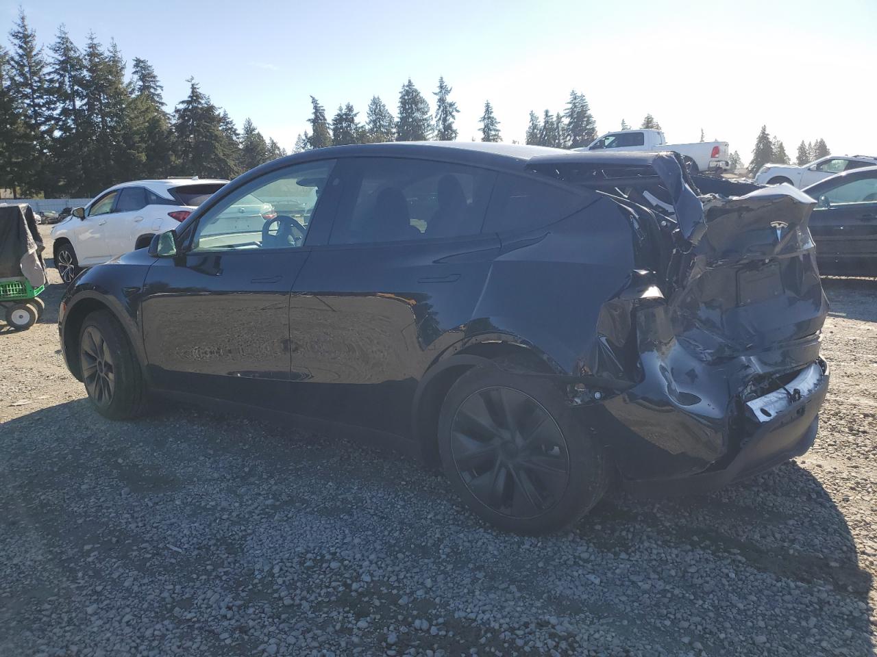 2024 TESLA MODEL Y  VIN:7SAYGDED3RF151577