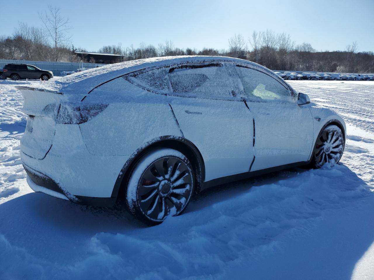 2022 TESLA MODEL Y  VIN:7SAYGDEF6NF416360