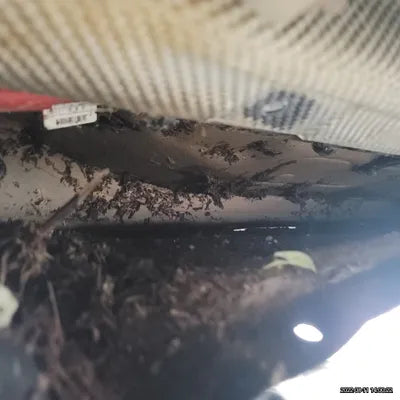 2021 BMW X4 M WBSUJ010XM9F16036 VIN:WBSUJ010XM9F16036