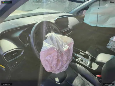 2018 Hyundai Santa FE KMHS381BBKU017352 VIN:KMHS381BBKU017352