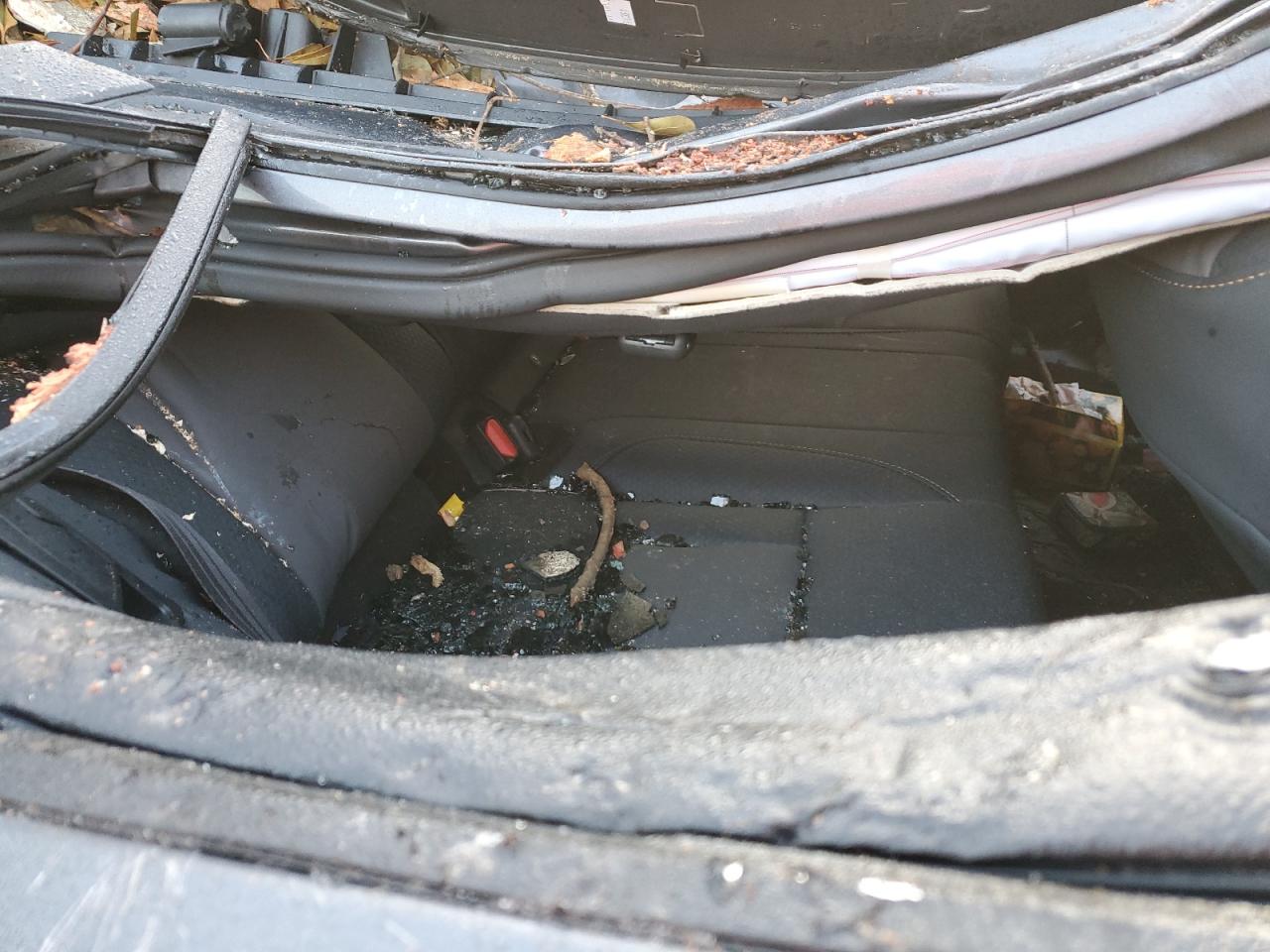 2023 SUBARU OUTBACK WILDERNESS VIN:4S4BTGUD4P3151126