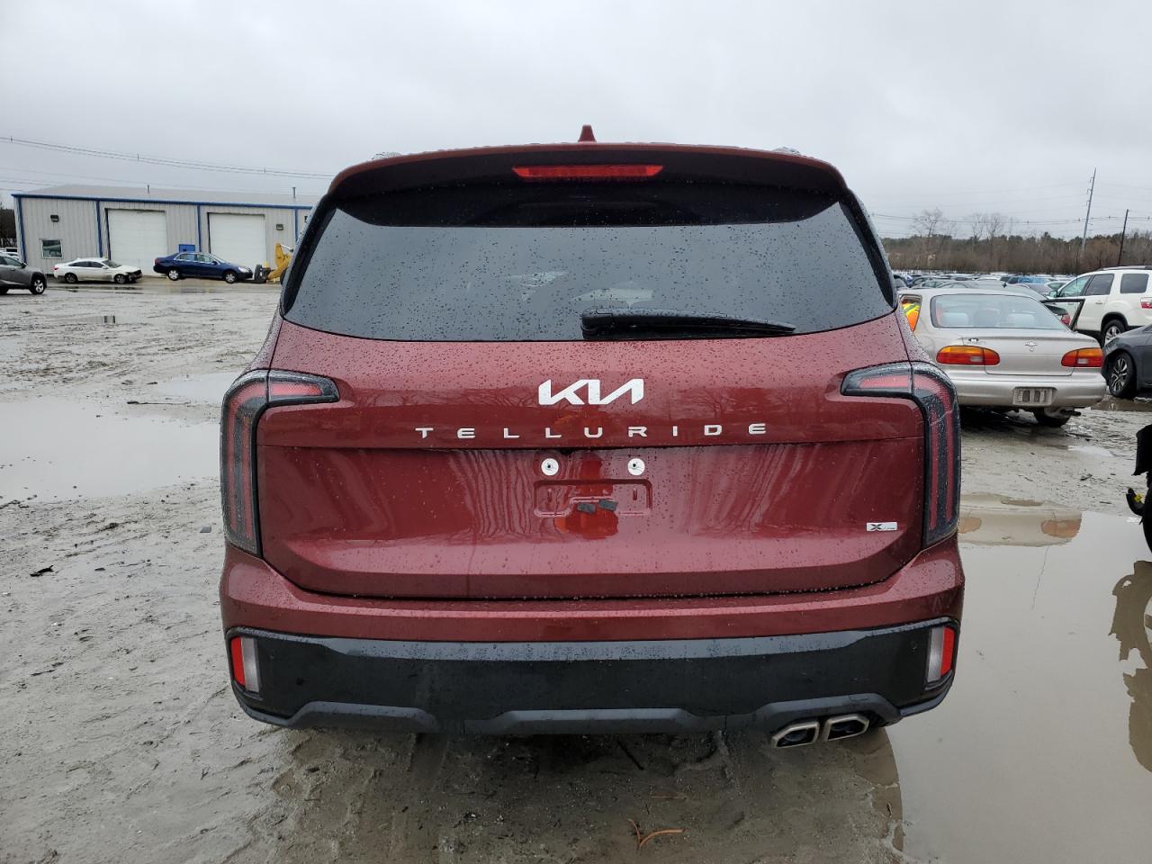 2024 KIA TELLURIDE EX VIN:5XYP3DGC7RG546573