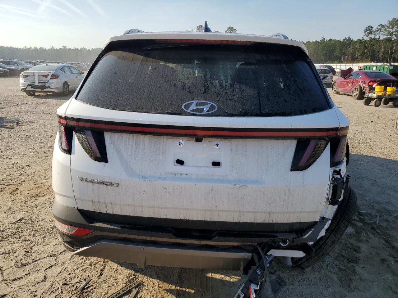 2024 HYUNDAI TUCSON LIMITED VIN:5NMJE3DE1RH389810