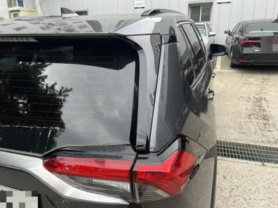 2019 Toyota RAV4 VIN: