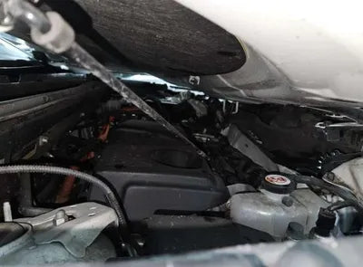 2019 Toyota RAV4 VIN: