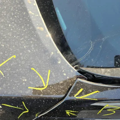 2019 Genesis G80 VIN: