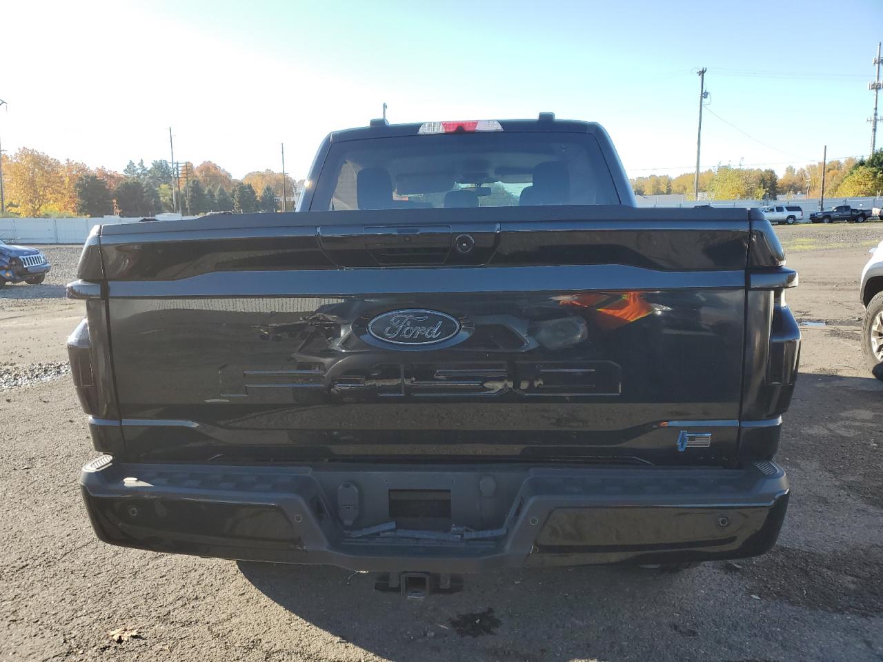 2024 FORD F150 LIGHTNING XLT VIN:1FT6W3L78RWG02447