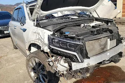 2021 Kia Sorento KNARL81BHMA089057 VIN:KNARL81BHMA089057
