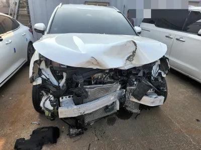 2021 Kia Sorento KNARF81BGMA102204 VIN:KNARF81BGMA102204