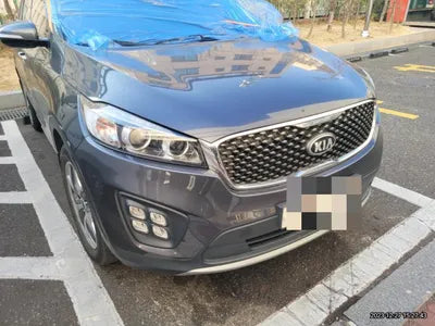 2016 Kia Sorento KNAPS81ADGA264790 VIN:KNAPS81ADGA264790