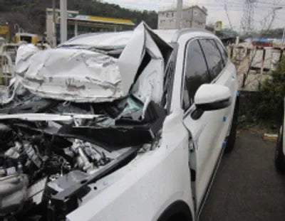 2021 Kia Sorento KNARL81BGNA139785 VIN:KNARL81BGNA139785
