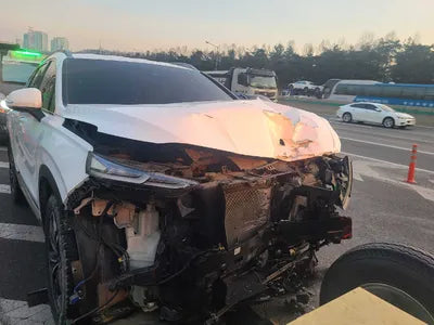 2020 Hyundai Santa FE KMHS381BBLU254272 VIN:KMHS381BBLU254272
