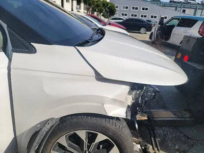 2021 Kia Carnival KNANE81BBMS068076 VIN:KNANE81BBMS068076