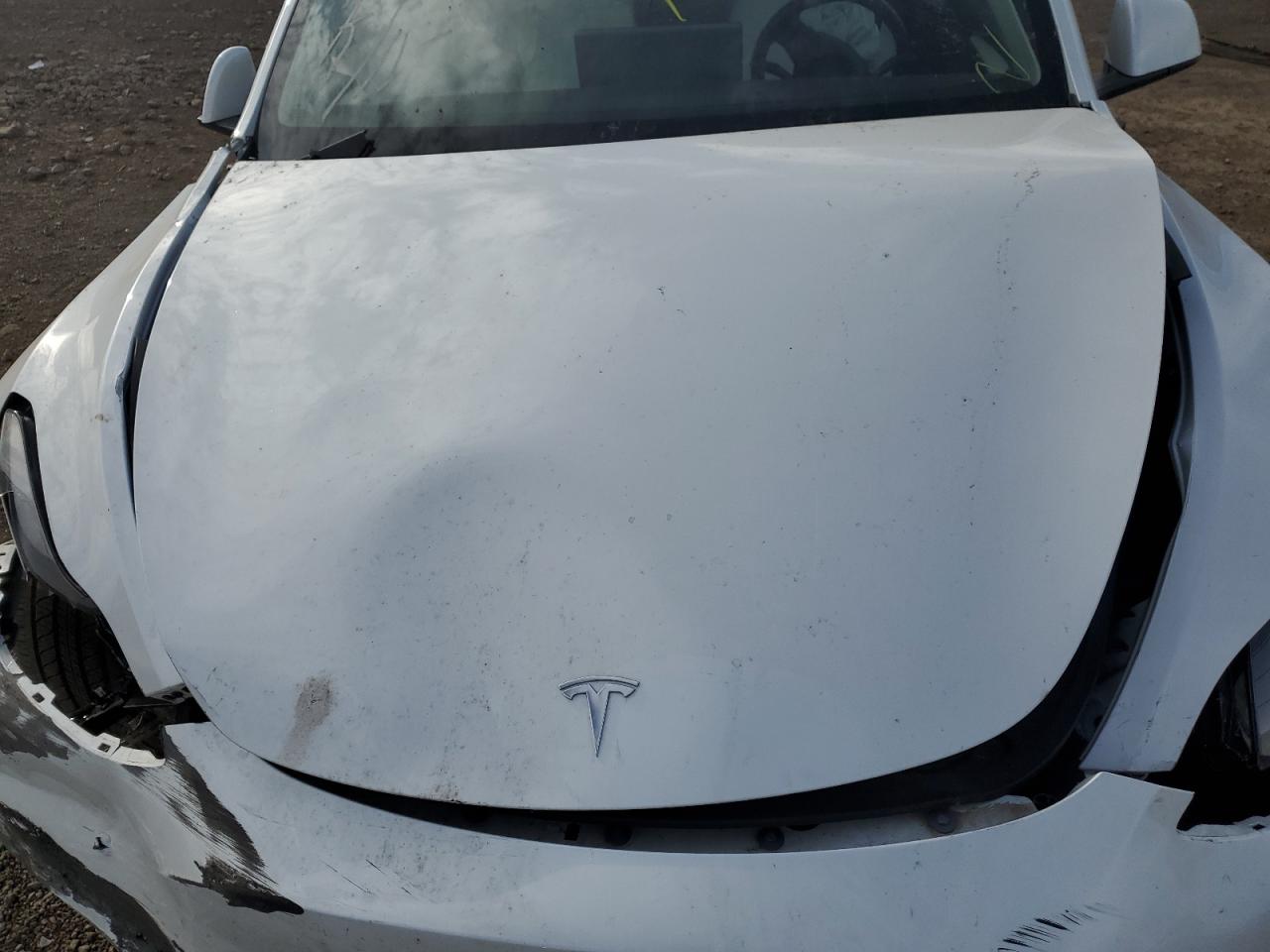 2023 TESLA MODEL Y  VIN:7SAYGDEE5PF623865