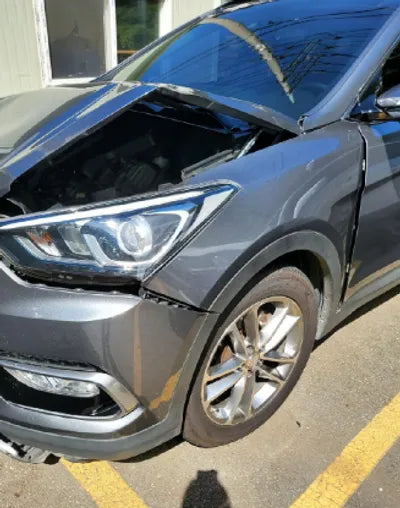 2016 Hyundai Santa FE KMHSW81UBGU539073 VIN:KMHSW81UBGU539073