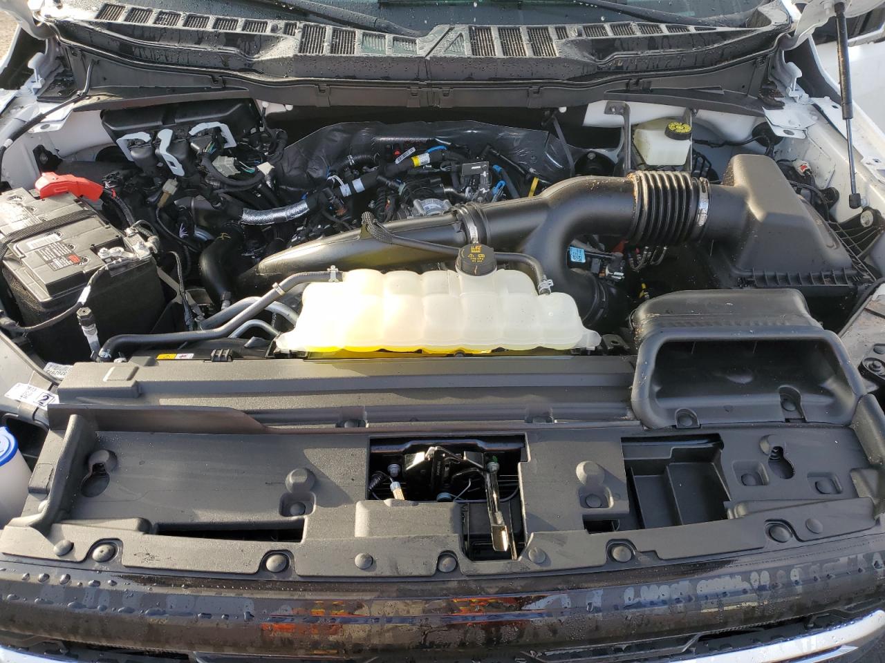 2024 FORD F150 XLT VIN:1FTEW3KPXRKF36312