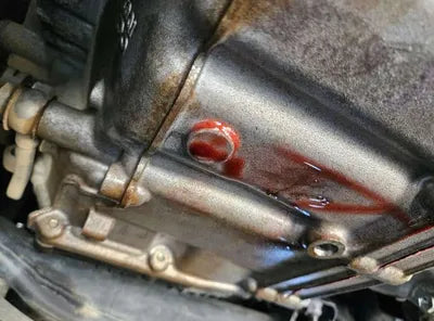 2019 Toyota Camry VIN: