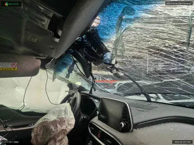 2019 Hyundai Santa FE KMHS381BBKU142921 VIN:KMHS381BBKU142921