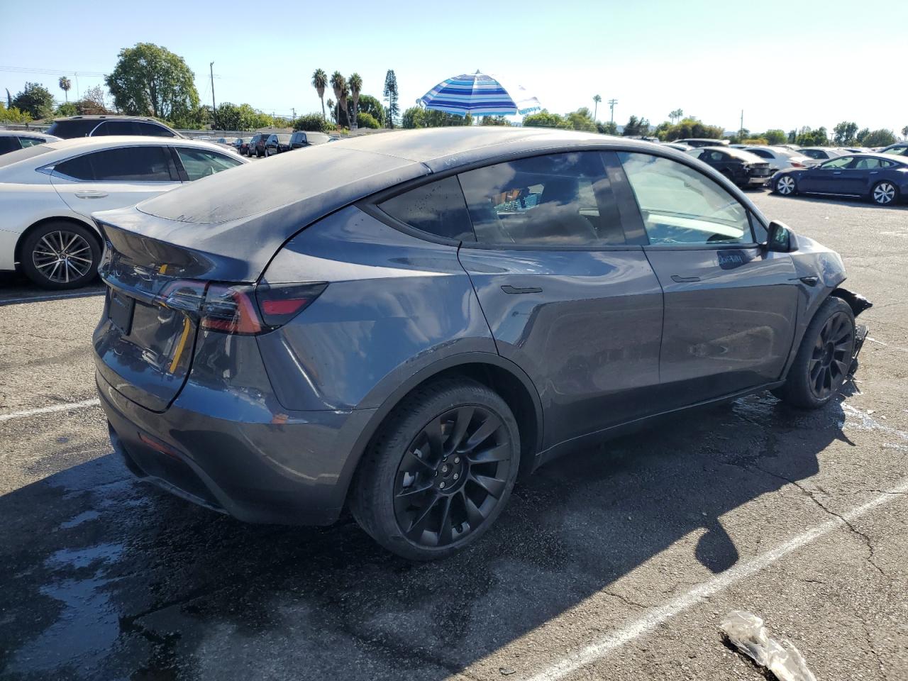 2023 TESLA MODEL Y  VIN:7SAYGDED1PF964686