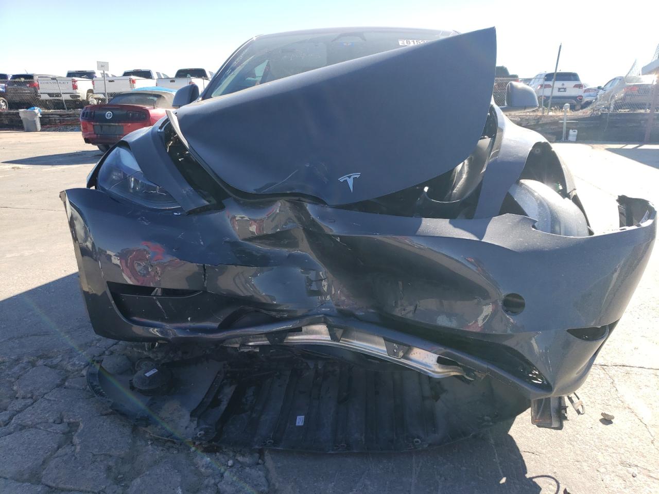 2023 TESLA MODEL Y  VIN:7SAYGDEE4PA202443