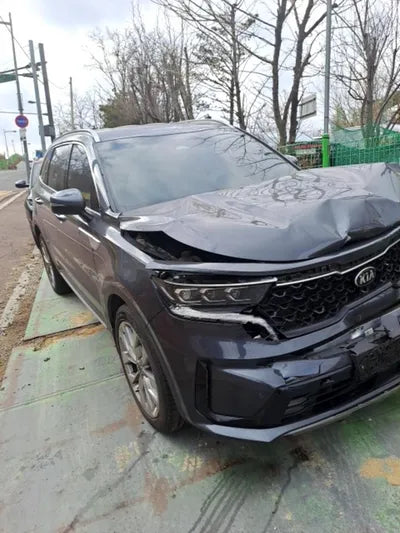 2021 Kia Sorento KNARL81BGMA103199 VIN:KNARL81BGMA103199