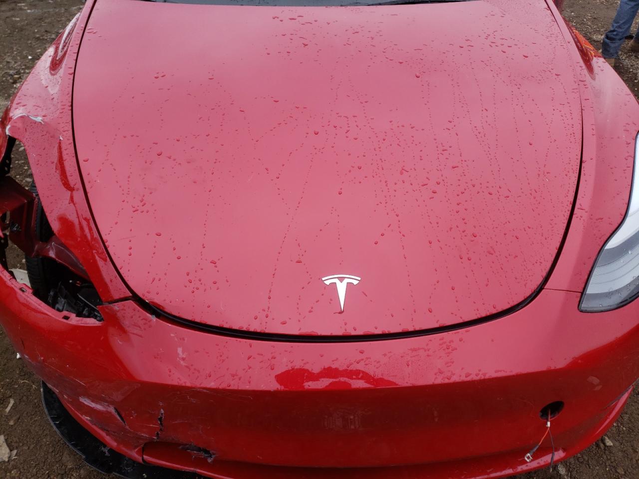 2023 TESLA MODEL Y  VIN:7SAYGDEE0PF810754