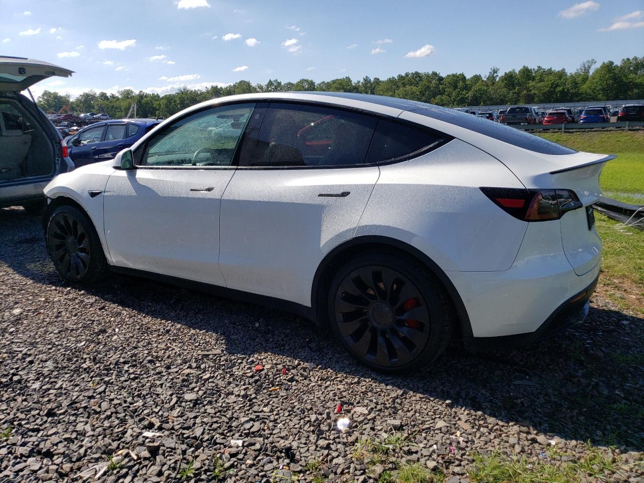 2022 TESLA MODEL Y  VIN:7SAYGDEF4NF522385