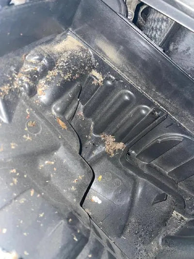 2019 BMW 2 Series Gran Tourer VIN: