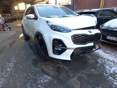 2019 Kia Sportage KNAPM813BKK709170 VIN:KNAPM813BKK709170