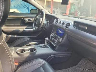 2019 Ford Mustang VIN: