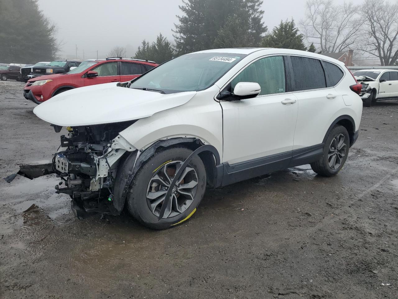 2022 HONDA CR-V EXL VIN:7FARW2H87NE036132