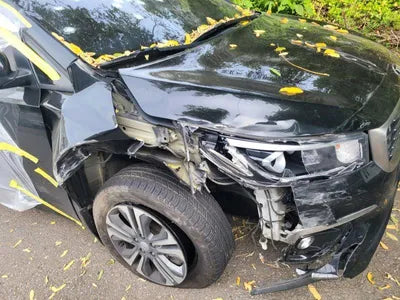 2019 Kia Carnival KNAMB81ABKS579049 VIN:KNAMB81ABKS579049
