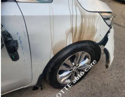 2017 Kia Carnival KNAME81ABHS308120 VIN:KNAME81ABHS308120