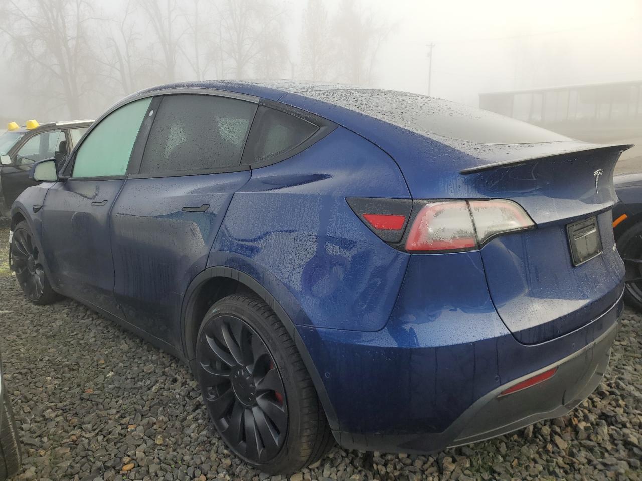 2022 TESLA MODEL Y  VIN:7SAYGDEF2NF400074