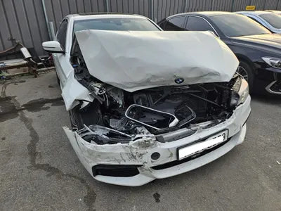 2019 BMW 530 WBAJD9102KWW13407 VIN:WBAJD9102KWW13407