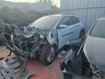 2019 Hyundai Kona KMHK3816GKU310946 VIN:KMHK3816GKU310946