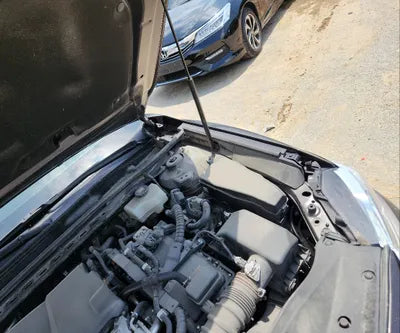 2019 Toyota Camry JTNB21HK0K3036458 VIN:JTNB21HK0K3036458