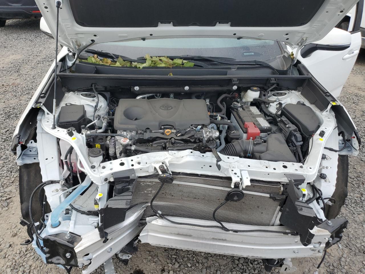 2023 TOYOTA RAV4 XLE VIN:2T3P1RFV8PC353550