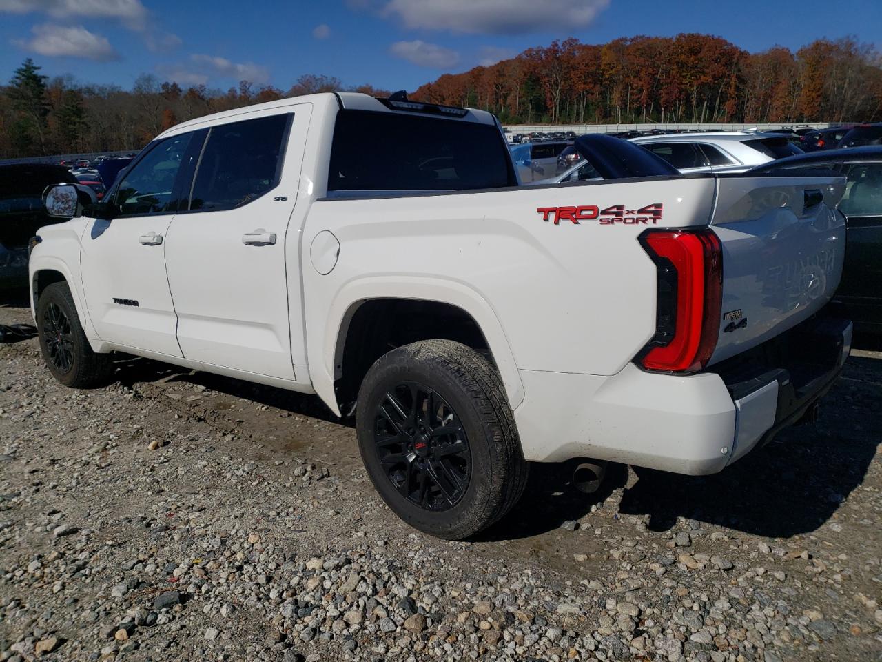 2023 TOYOTA TUNDRA CREWMAX SR VIN:5TFLA5DB1PX113413