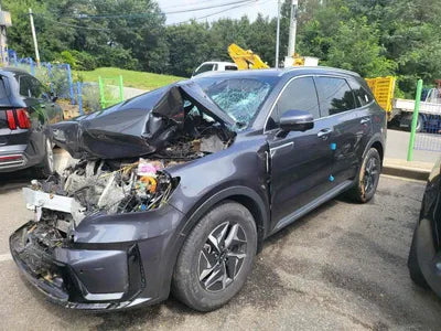 2020 Kia Sorento KNARG81GBMA017175 VIN:KNARG81GBMA017175