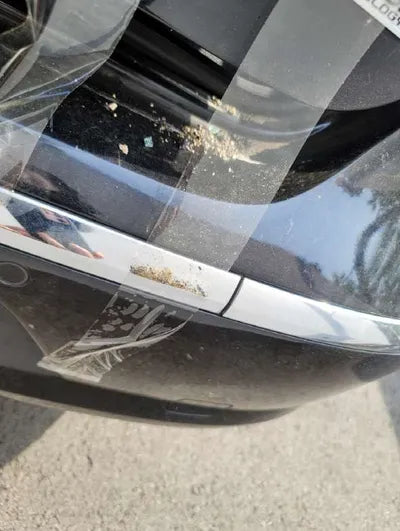 2015 Volkswagen CC WVWZZZ3CZFE821285 VIN:WVWZZZ3CZFE821285