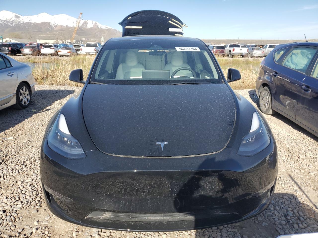 2023 TESLA MODEL Y  VIN:7SAYGAEE0PF905779