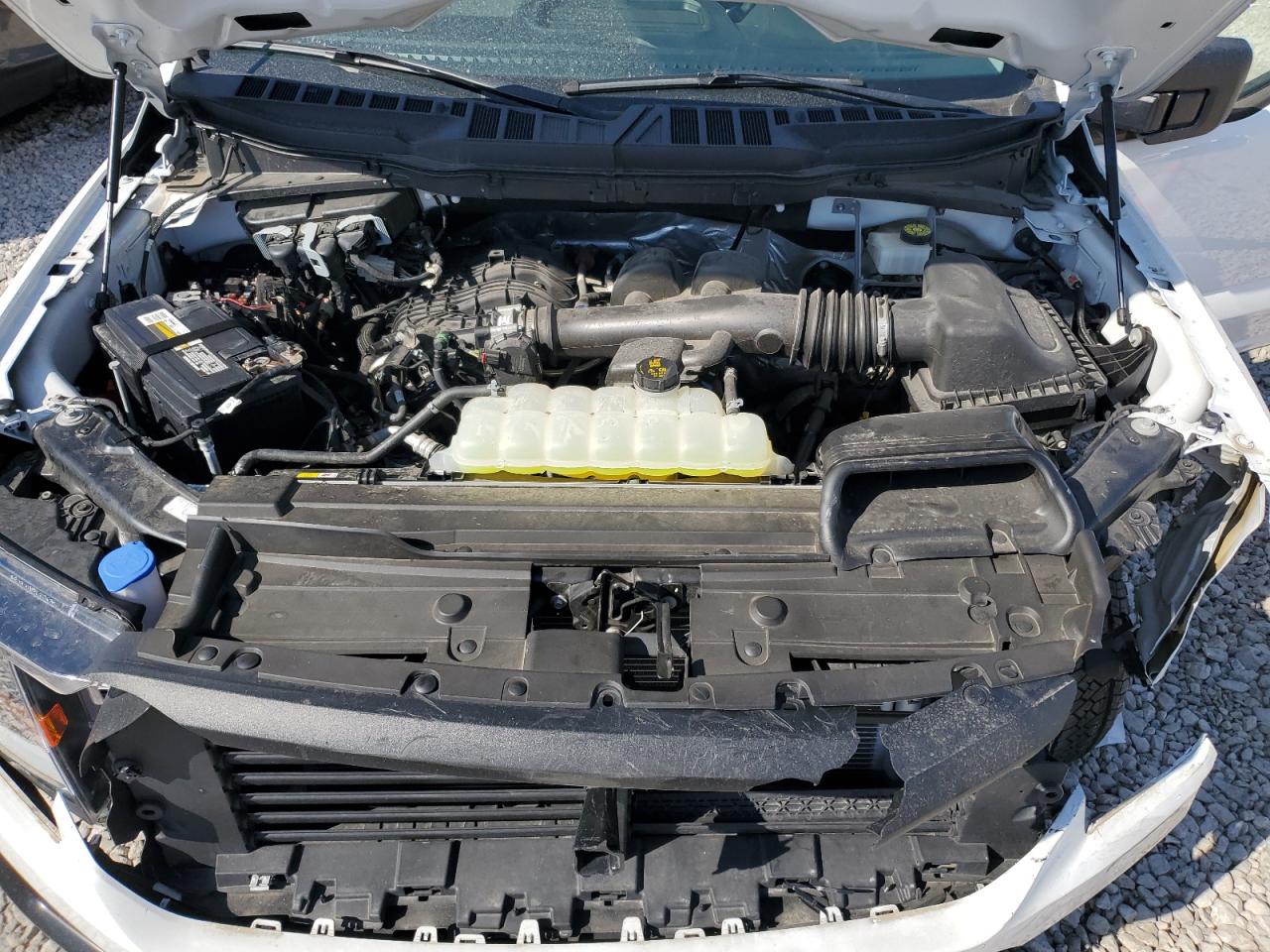 2023 FORD F150  VIN:1FTMF1EB8PKE09099