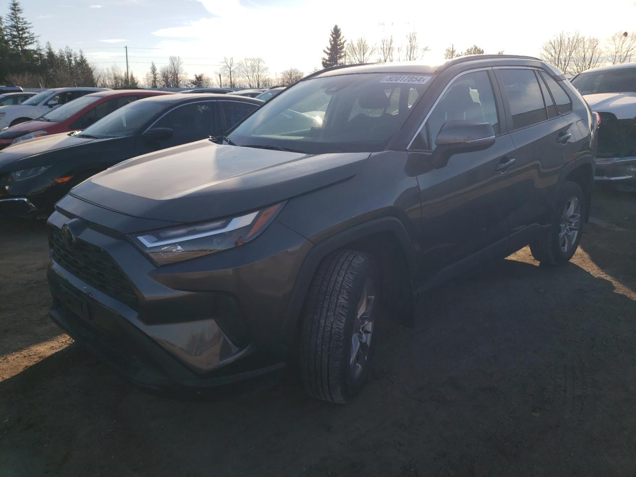 2023 TOYOTA RAV4 XLE VIN:2T3R1RFV9PC352416