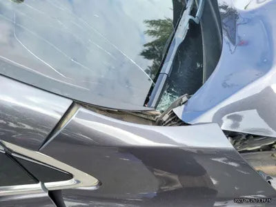 2019 Kia Sorento KNAPS81ABKA514794 VIN:KNAPS81ABKA514794