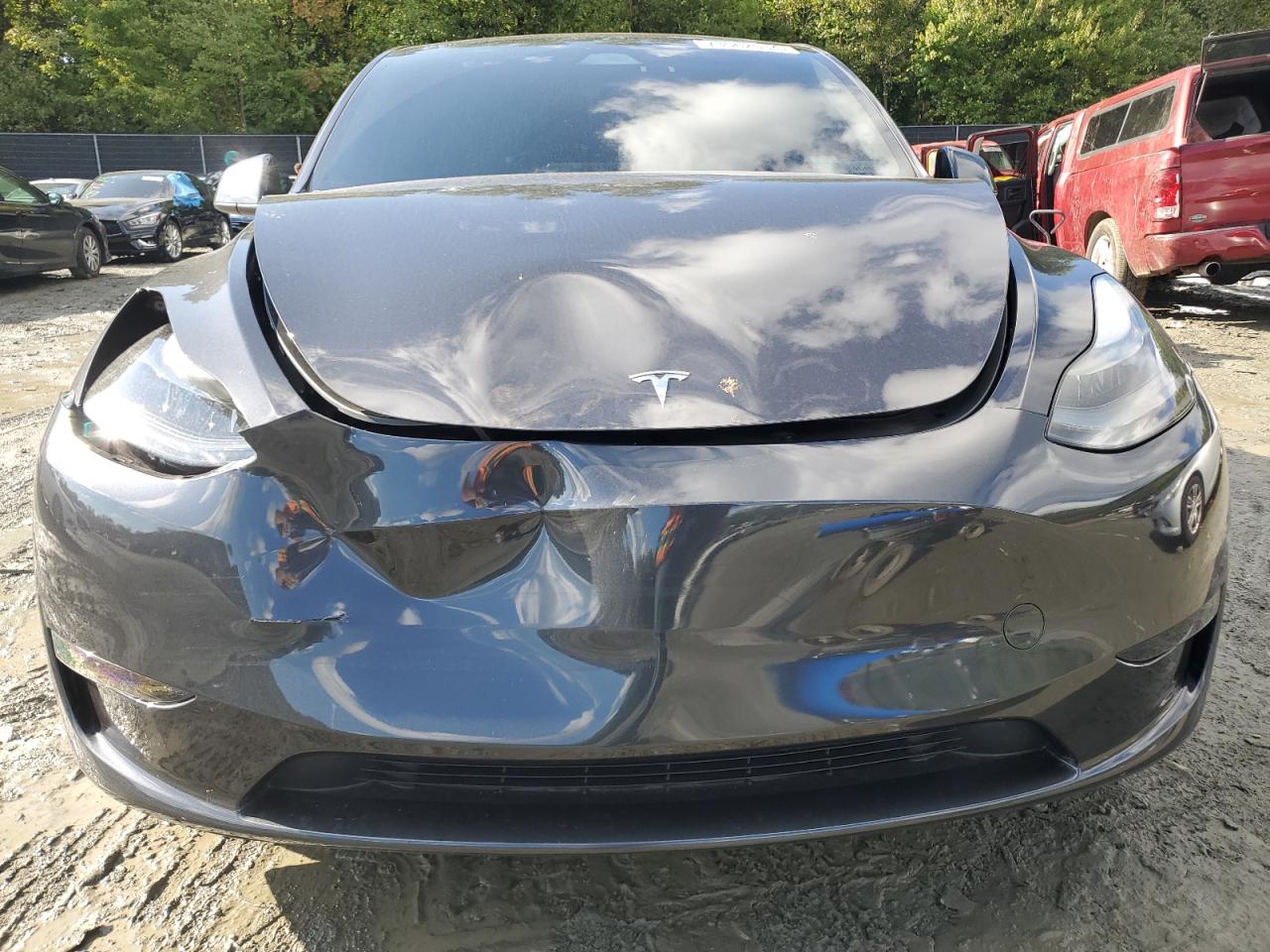 2024 TESLA MODEL Y  VIN:7SAYGDED6RF091911